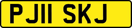 PJ11SKJ