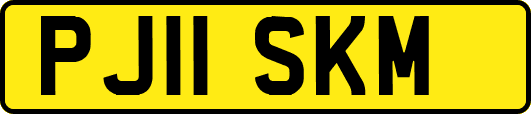 PJ11SKM