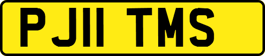 PJ11TMS