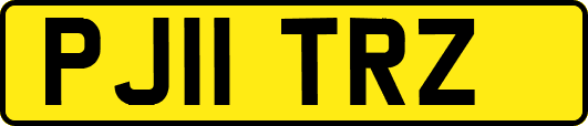 PJ11TRZ