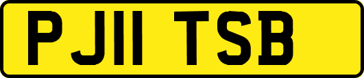 PJ11TSB