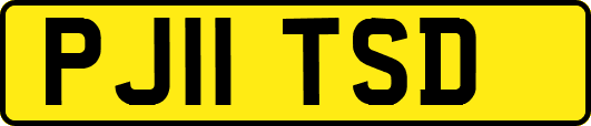 PJ11TSD