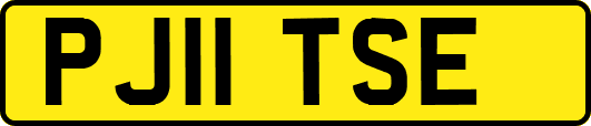PJ11TSE