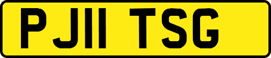PJ11TSG