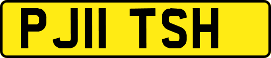 PJ11TSH