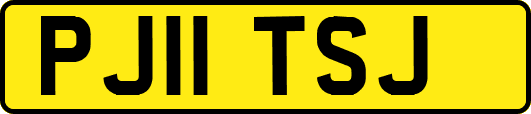 PJ11TSJ