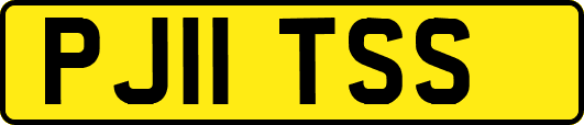 PJ11TSS