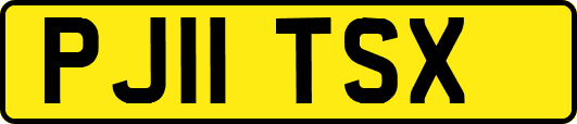 PJ11TSX