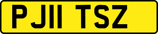 PJ11TSZ