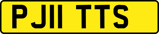 PJ11TTS