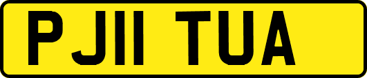 PJ11TUA