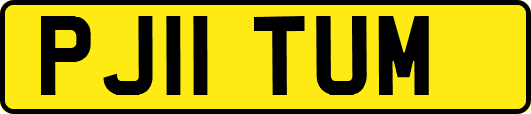 PJ11TUM