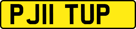 PJ11TUP