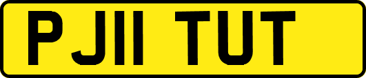 PJ11TUT