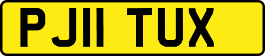 PJ11TUX