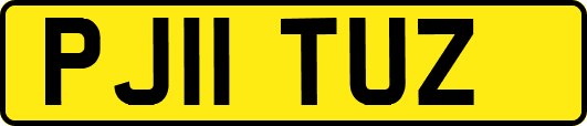 PJ11TUZ