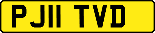 PJ11TVD