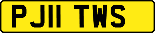 PJ11TWS