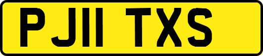 PJ11TXS