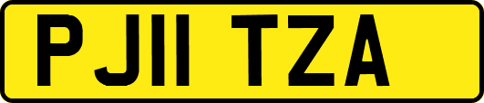 PJ11TZA