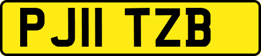 PJ11TZB