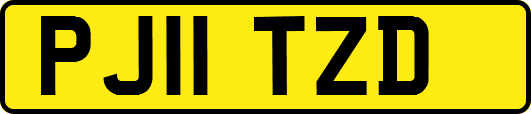 PJ11TZD
