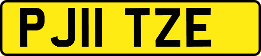 PJ11TZE