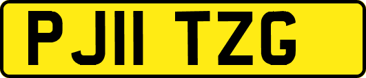 PJ11TZG