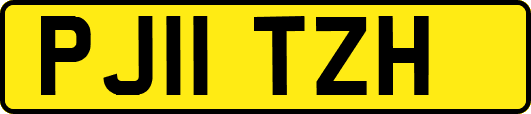 PJ11TZH