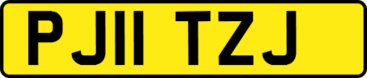 PJ11TZJ