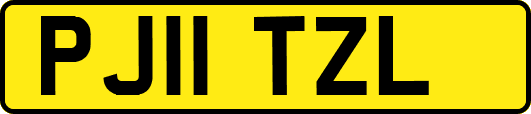 PJ11TZL