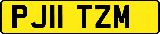 PJ11TZM