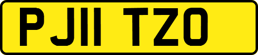 PJ11TZO