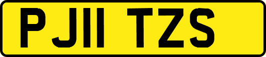 PJ11TZS