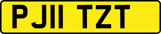 PJ11TZT
