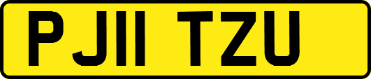 PJ11TZU