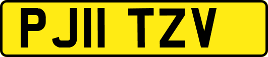 PJ11TZV