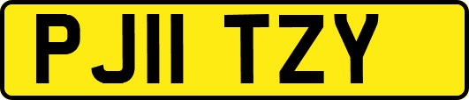 PJ11TZY