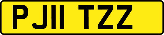 PJ11TZZ