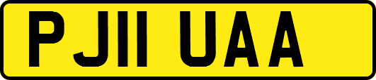 PJ11UAA