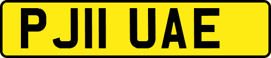 PJ11UAE