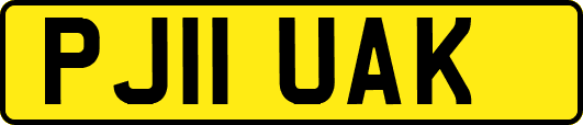 PJ11UAK