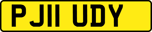 PJ11UDY
