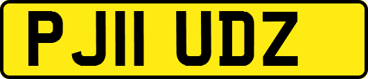 PJ11UDZ