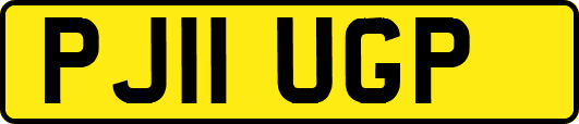 PJ11UGP