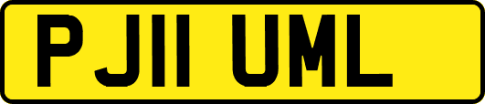 PJ11UML