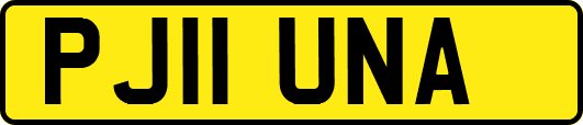 PJ11UNA