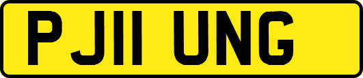 PJ11UNG