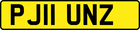 PJ11UNZ