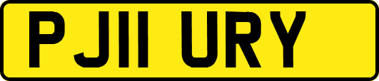 PJ11URY